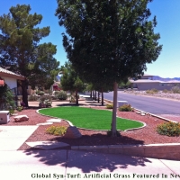 Artificial Grass Carpet Gladeview, Florida Lawn And Garden, Front Yard Landscaping Ideas