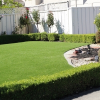 Artificial Grass Carpet Kissimmee, Florida Landscaping Business, Backyard Ideas