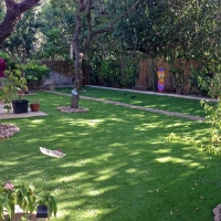 Artificial Grass Carpet North Beach, Florida Landscaping, Backyards