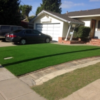 Artificial Grass Carpet Palm River-Clair Mel, Florida Landscape Rock, Front Yard Landscape Ideas