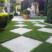 Artificial Grass Carpet Sunshine Ranches, Florida Landscape Rock, Pavers