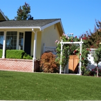 Artificial Grass Carpet Winter Haven, Florida Landscape Ideas, Front Yard Ideas