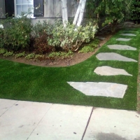 Artificial Grass North Miami Beach, Florida Lawn And Garden, Front Yard