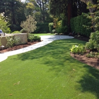 Artificial Grass Royal Palm Beach, Florida Roof Top, Backyard Landscaping