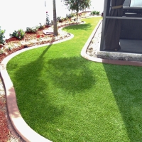 Artificial Turf Charleston Park, Florida Paver Patio, Backyard Landscape Ideas