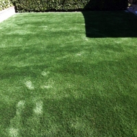 Artificial Turf Coral Gables, Florida Pet Paradise, Backyard Landscaping Ideas