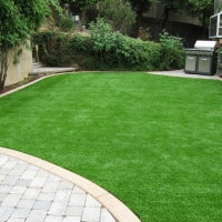 Artificial Turf Cost Broadview Park, Florida Home And Garden