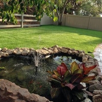 Artificial Turf Cost Dunes Road, Florida Landscaping, Small Backyard Ideas