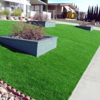 Artificial Turf Cost Goodland, Florida City Landscape, Front Yard Landscape Ideas