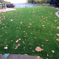 Artificial Turf Installation Cutler Ridge, Florida Design Ideas, Small Front Yard Landscaping