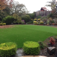 Best Artificial Grass South Miami, Florida Gardeners, Beautiful Backyards