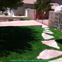 Fake Grass Biscayne Park, Florida Garden Ideas, Small Front Yard Landscaping