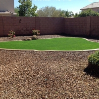 Fake Grass Carpet Golden Lakes, Florida Landscape Photos, Backyard Designs