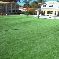 Fake Grass Carpet Lehigh Acres, Florida Design Ideas, Kids Swimming Pools