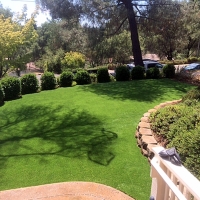 Fake Grass Carpet Miami Lakes, Florida Landscape Ideas, Backyards