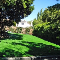 Fake Grass Carpet The Crossings, Florida Landscape Ideas, Small Backyard Ideas