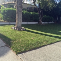 Fake Grass Rio, Florida Landscape Photos, Front Yard Landscaping Ideas