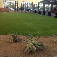 Fake Grass South Bradenton, Florida Landscape Design, Commercial Landscape