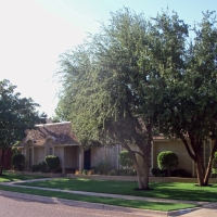 Fake Lawn Port LaBelle, Florida Lawn And Landscape, Small Front Yard Landscaping