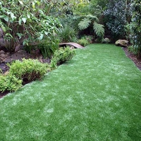 Fake Turf Gulf Gate Estates, Florida Roof Top, Backyard Ideas