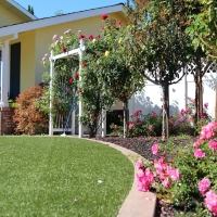 Fake Turf Whitfield, Florida Landscaping, Front Yard Design