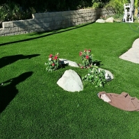 Grass Carpet Eagle Lake, Florida Landscape Rock, Small Front Yard Landscaping