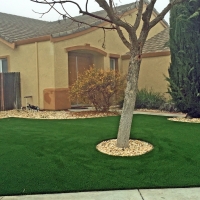 Grass Carpet Lochmoor Waterway Estates, Florida Landscape Ideas, Front Yard Landscaping Ideas