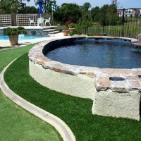 Grass Carpet Melbourne, Florida Landscape Ideas, Backyard Landscaping