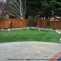 Grass Carpet Pinewood, Florida Indoor Putting Green, Backyard Design