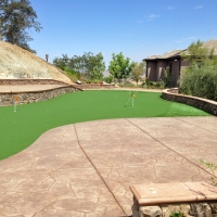 Grass Carpet Plant City, Florida Putting Greens, Backyard Landscaping