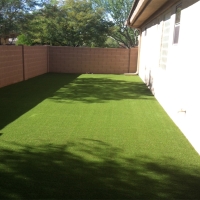 Grass Turf Oak Ridge, Florida Landscaping, Small Backyard Ideas