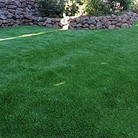 Grass Turf Sebring, Florida Gardeners, Backyard Design