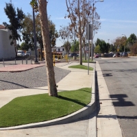 Grass Turf The Hammocks, Florida Design Ideas, Commercial Landscape