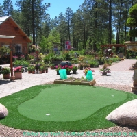 Green Lawn Fisher Island, Florida Outdoor Putting Green, Backyard Design