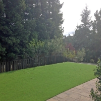 How To Install Artificial Grass Lakeland, Florida Landscape Ideas, Small Backyard Ideas