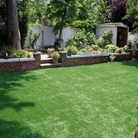 Installing Artificial Grass Three Oaks, Florida Landscape Photos, Backyard Landscaping