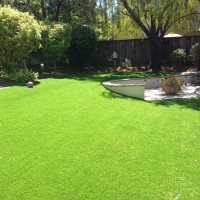 Lawn Services Lauderhill, Florida Lawns, Backyard Landscape Ideas