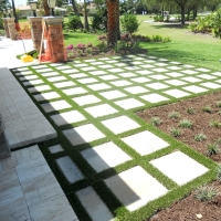 Plastic Grass Big Coppitt Key, Florida Paver Patio, Beautiful Backyards