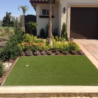 Plastic Grass Key West, Florida Landscaping Business, Small Front Yard Landscaping