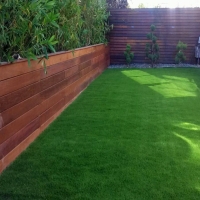 Plastic Grass Naples Park, Florida Lawns, Backyard Garden Ideas