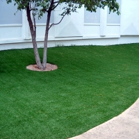 Plastic Grass Virginia Gardens, Florida Lawn And Landscape, Commercial Landscape