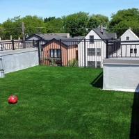 Synthetic Grass Coral Springs, Florida Cat Playground, Deck