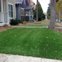 Synthetic Grass Cost Clewiston, Florida Garden Ideas, Front Yard Ideas