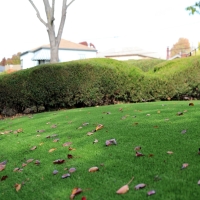 Synthetic Grass Cost Coconut Creek, Florida Lawn And Garden, Landscaping Ideas For Front Yard