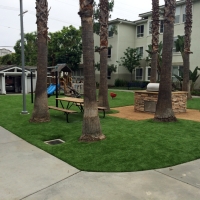 Synthetic Grass Cost Sunshine Ranches, Florida Landscape Photos, Commercial Landscape