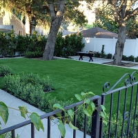 Synthetic Lawn Lake Worth Corridor, Florida Landscaping Business, Front Yard Landscaping Ideas