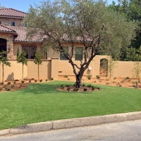 Synthetic Lawn Lantana, Florida Landscape Design, Front Yard Landscape Ideas