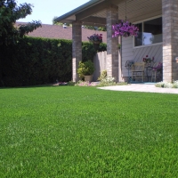 Synthetic Lawn Ocean Breeze Park, Florida Lawn And Landscape, Landscaping Ideas For Front Yard