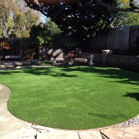 Synthetic Lawn Okeechobee, Florida Landscape Rock, Small Backyard Ideas