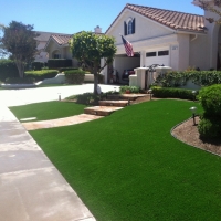 Synthetic Lawn Palm Beach Shores, Florida Lawns, Front Yard Landscaping Ideas